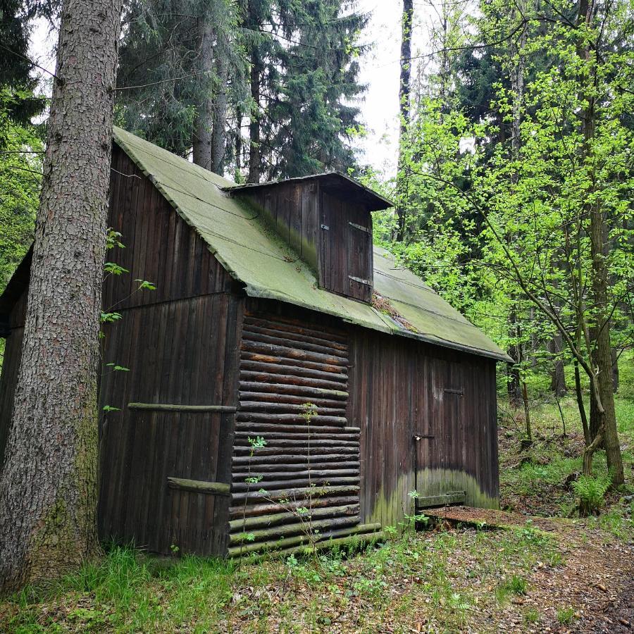 Ferienhaus Waltersdorf Großschönau Eksteriør billede