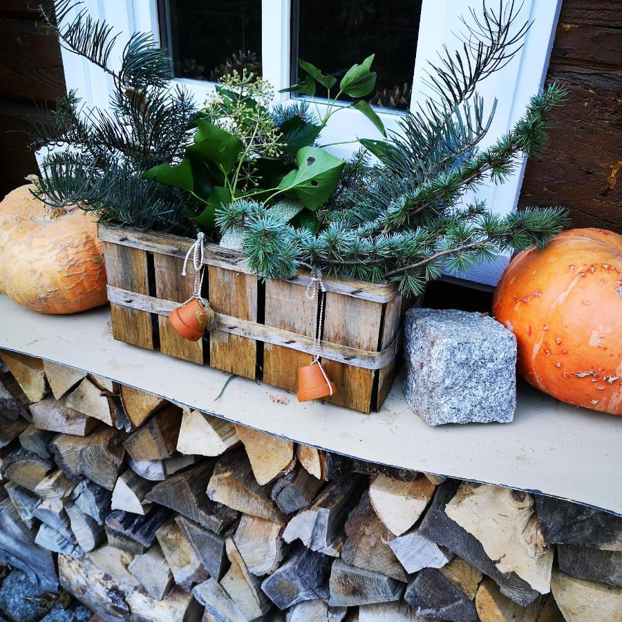 Ferienhaus Waltersdorf Großschönau Eksteriør billede